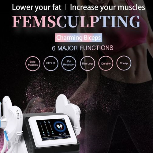 Portable Sinco Emslim Beauty Muscle Shaping Machine